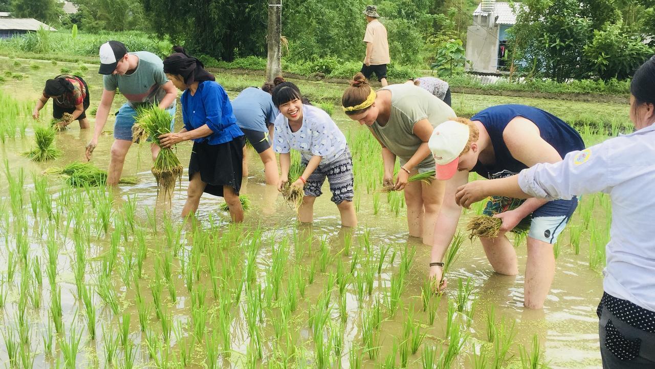 Du Gia Homestay Làng Cac Zewnętrze zdjęcie