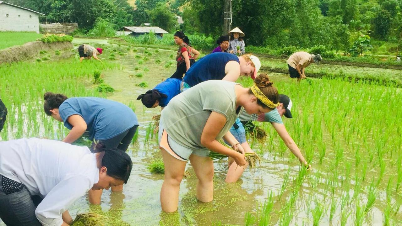 Du Gia Homestay Làng Cac Zewnętrze zdjęcie